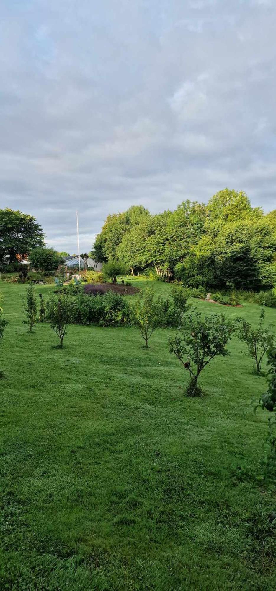 Hos Molsgaarden Bed & Breakfast Knebel Dış mekan fotoğraf