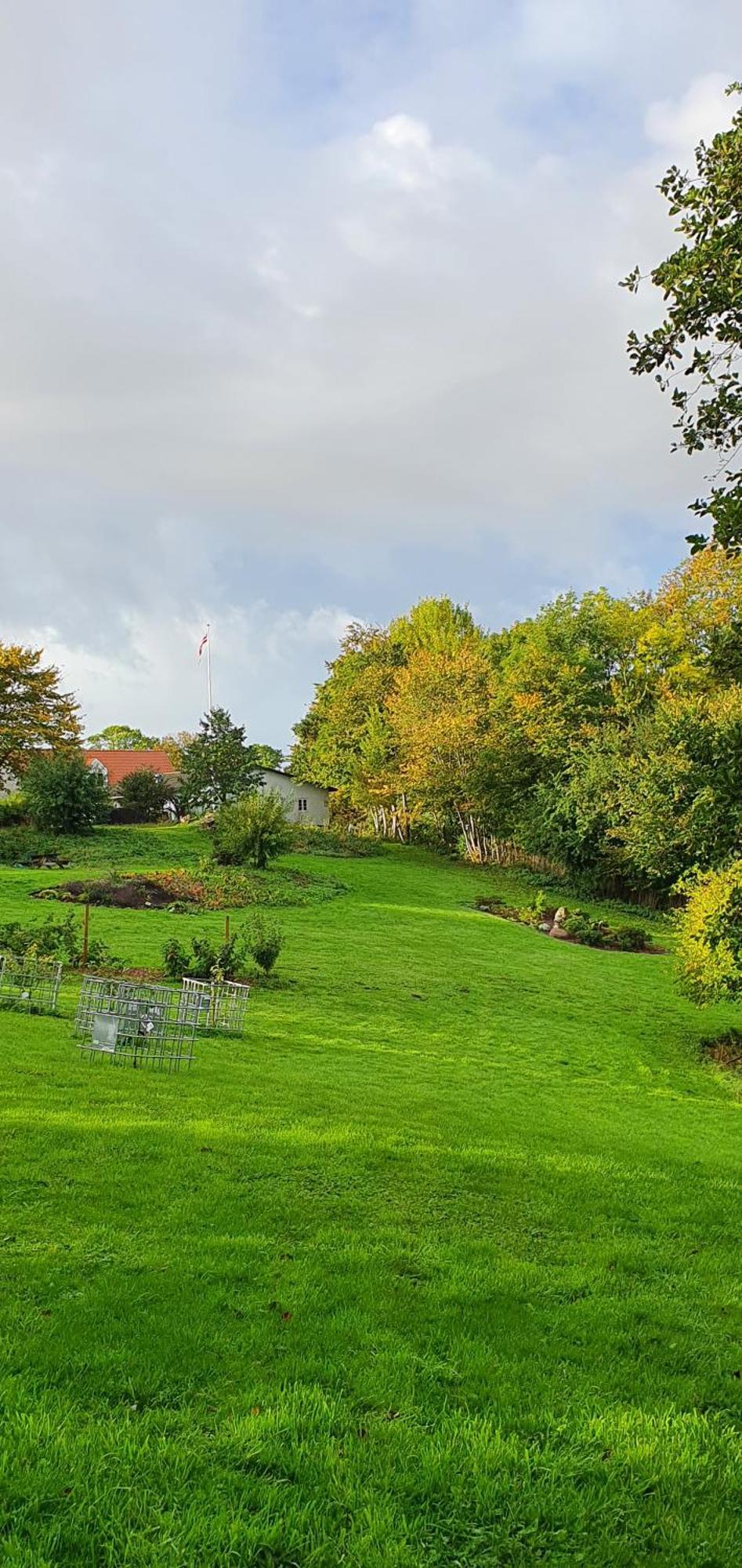Hos Molsgaarden Bed & Breakfast Knebel Dış mekan fotoğraf