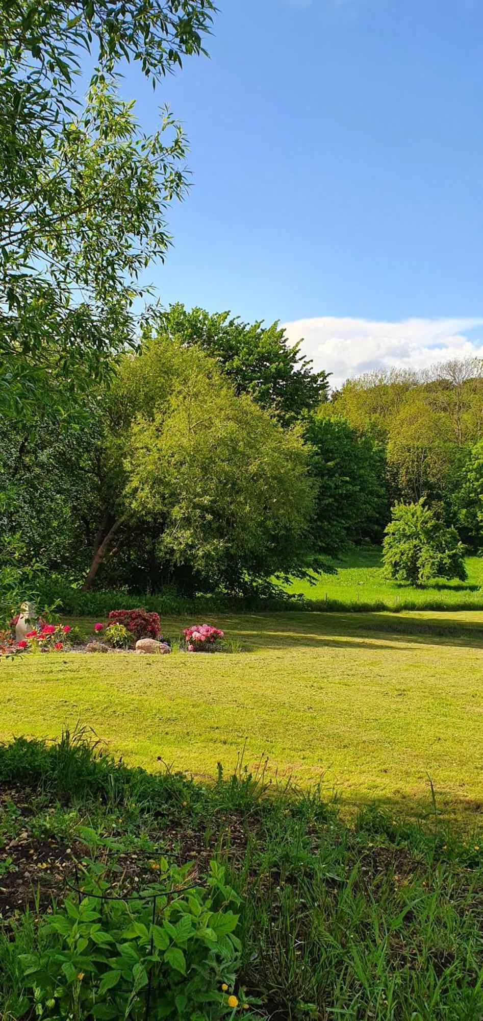 Hos Molsgaarden Bed & Breakfast Knebel Dış mekan fotoğraf